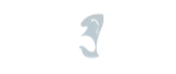 FaceFX